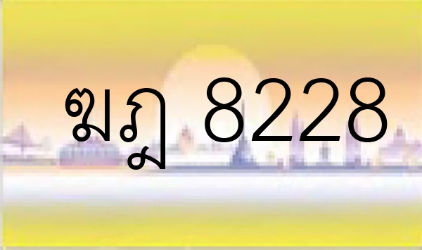 ฆฎ 8228